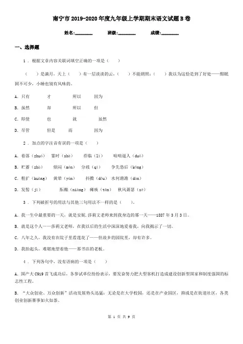 南宁市2019-2020年度九年级上学期期末语文试题B卷