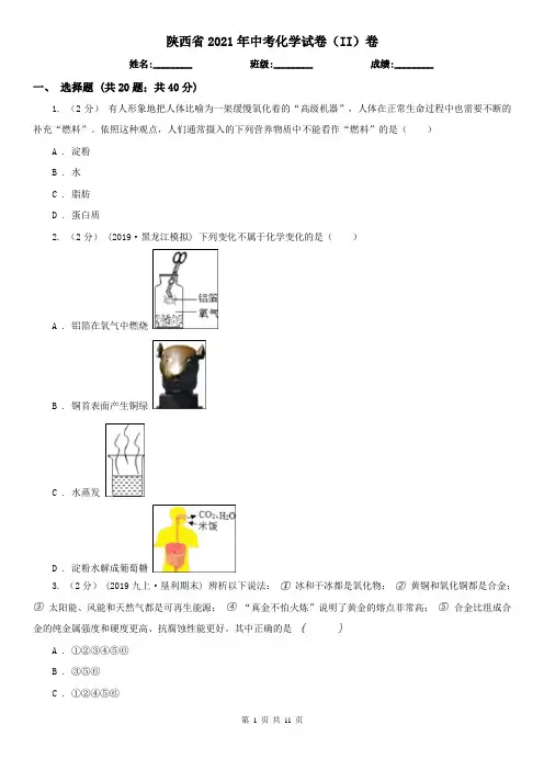 陕西省2021年中考化学试卷(II)卷新版
