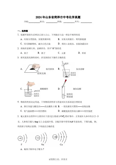 【中考真题】2024年山东省菏泽市中考化学试卷(附答案)
