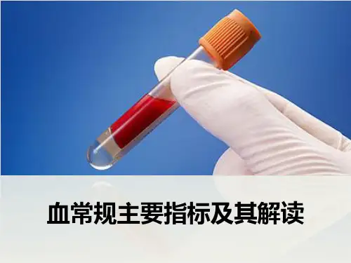 血常规主要指标及解读