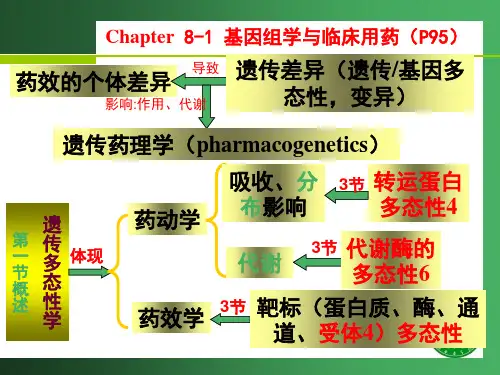 8药物基因组学与临床用药