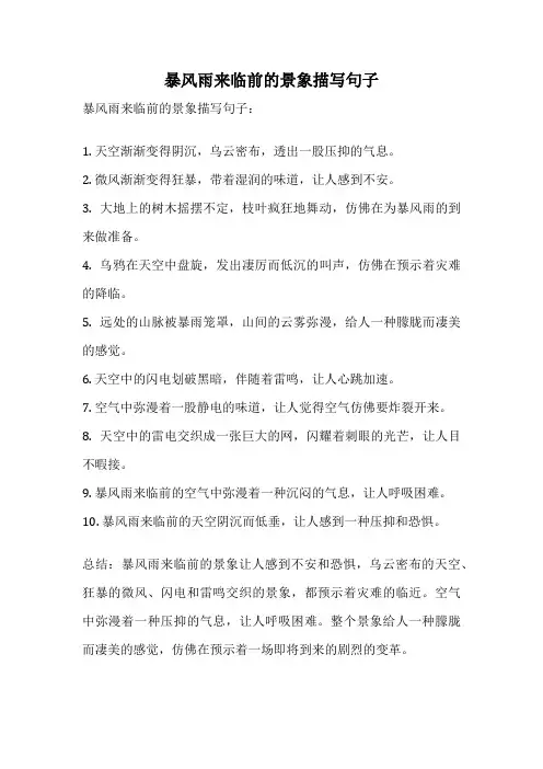 暴风雨来临前的景象描写句子