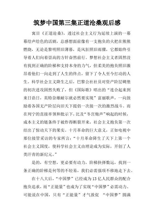 筑梦中国第三集正道沧桑观后感