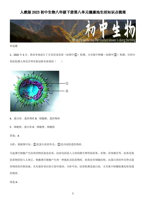 人教版2023初中生物八年级下册第八单元健康地生活知识点梳理