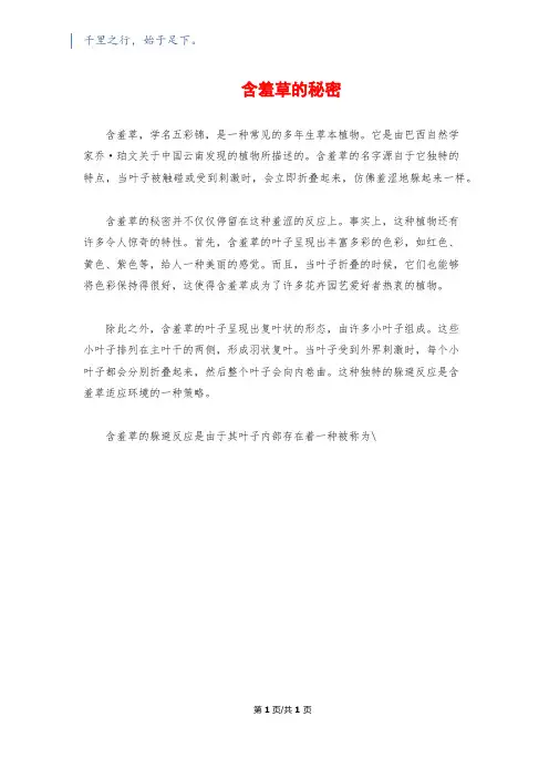 含羞草的秘密