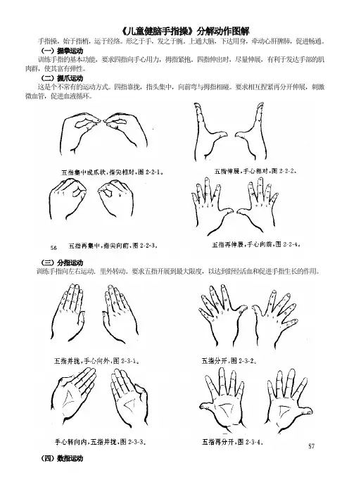 儿童健脑手指操