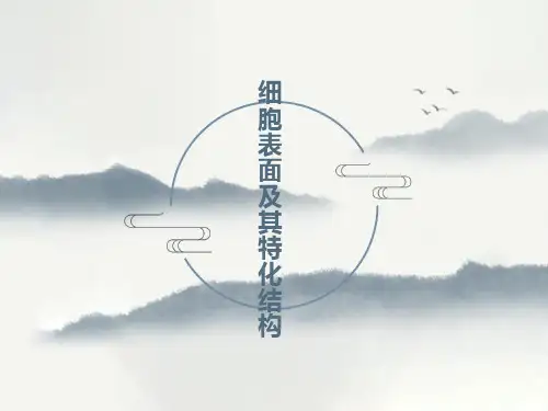 医学细胞生物学细胞表面及其特化结构第二讲