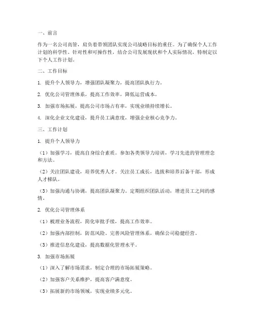 高管个人工作计划范文