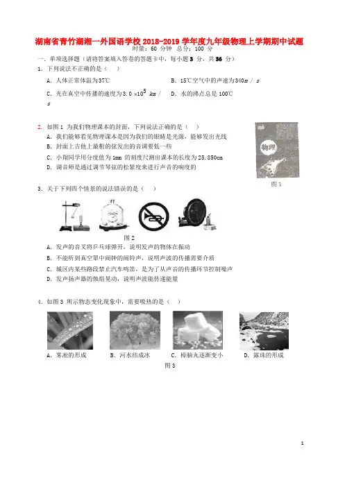 湖南省青竹湖湘一外国语学校2018-2019学年度九年级物理上学期期中试题(无答案)