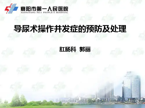 导尿操作并发症预防与处理