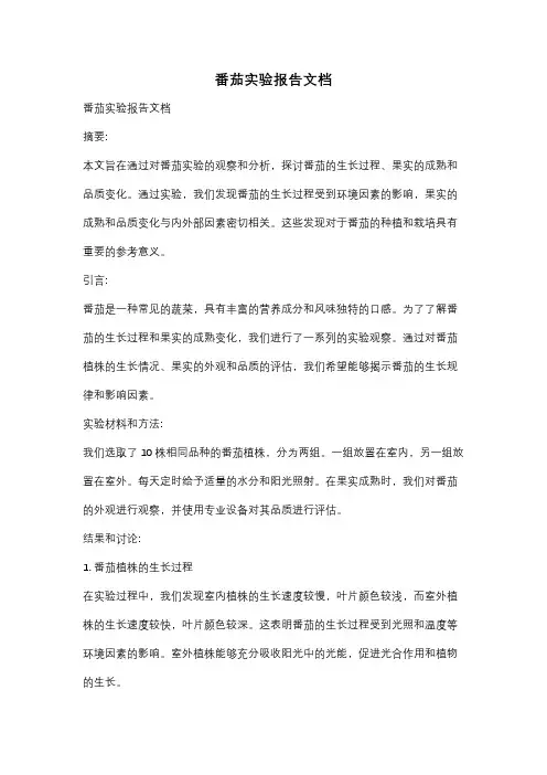 番茄实验报告文档