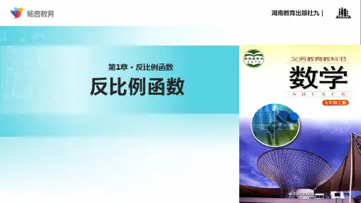 《反比例函数》(湘教版)PPT课件