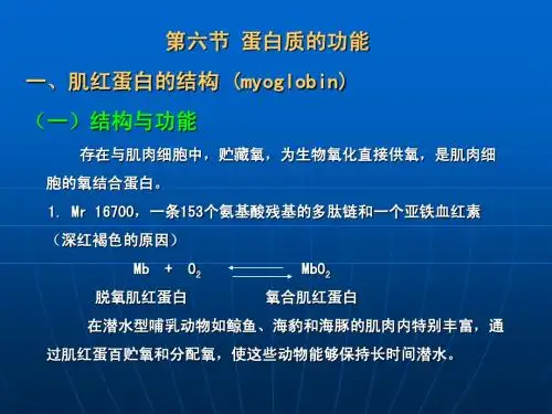 蛋白质的功能 (4)