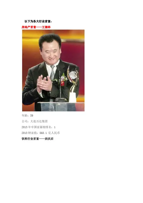 中国各大行业首富