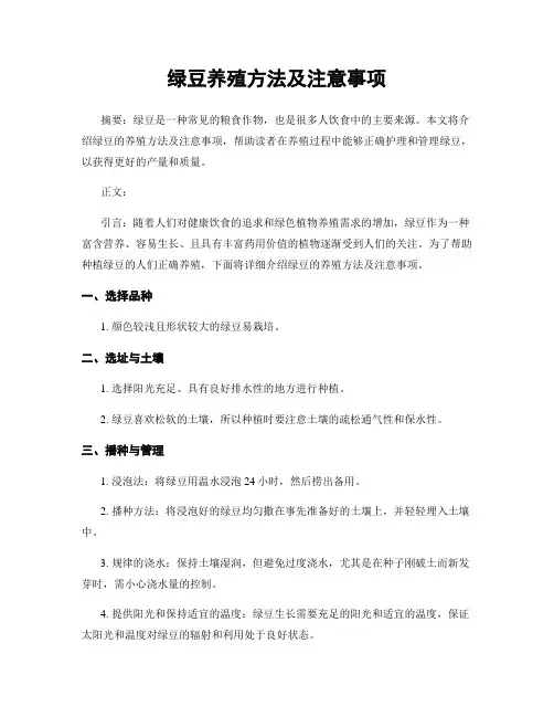 绿豆养殖方法及注意事项