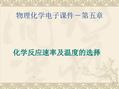 物理化学电子课件-第五章