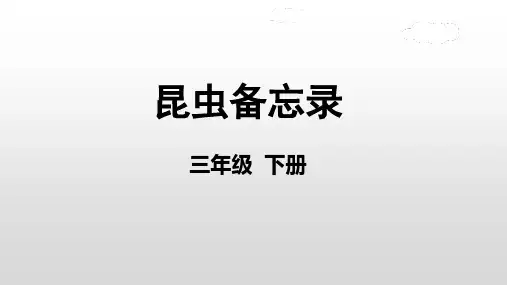 4《昆虫备忘录》(课件)-2022-2023学年语文三年级下册(部编版)