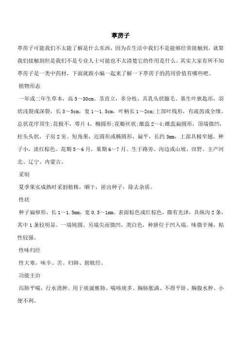 【优秀文档】葶苈子