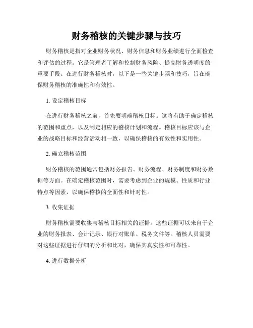 财务稽核的关键步骤与技巧