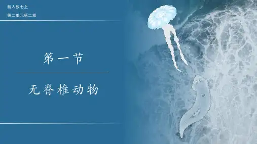 +2.2.1+无脊椎动物课件-2024--2025学年人教版生物七年级上册