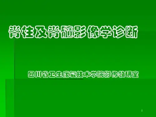 脊柱及脊髓影像学ppt课件