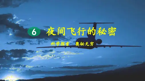 部编版小学四年级语文上册第6课《夜间飞行的秘密》精美课件【最新】