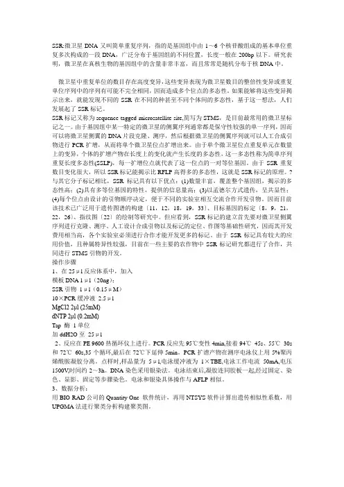 SSR标记的原理步骤