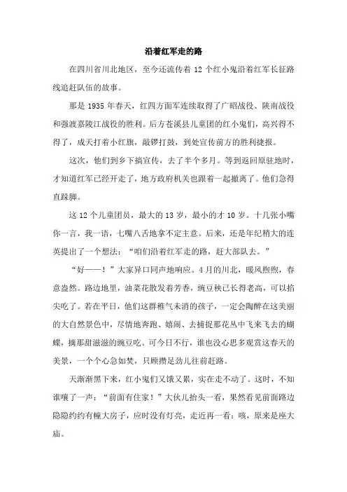 淮海战役的支前大军(类文)(4)