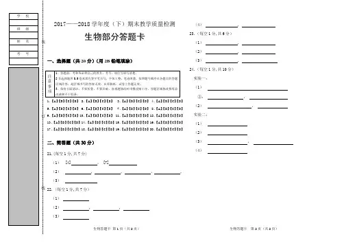 答题卡模板