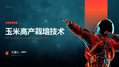 《玉米高产栽培技术》课件