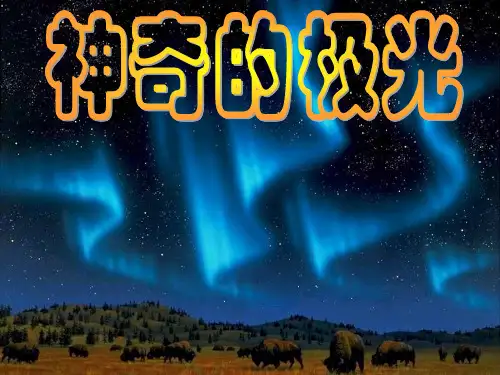 神奇的极光
