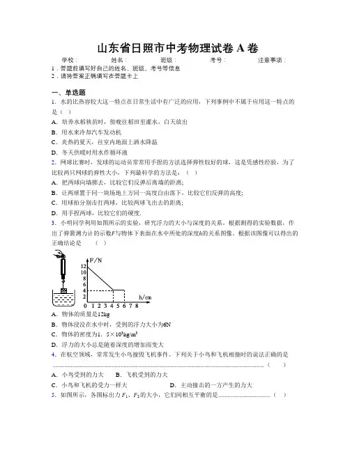 最新山东省日照市中考物理试卷A卷及解析