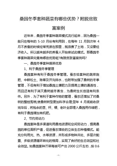 桑园冬季套种蔬菜有哪些优势？附脱贫致富案例