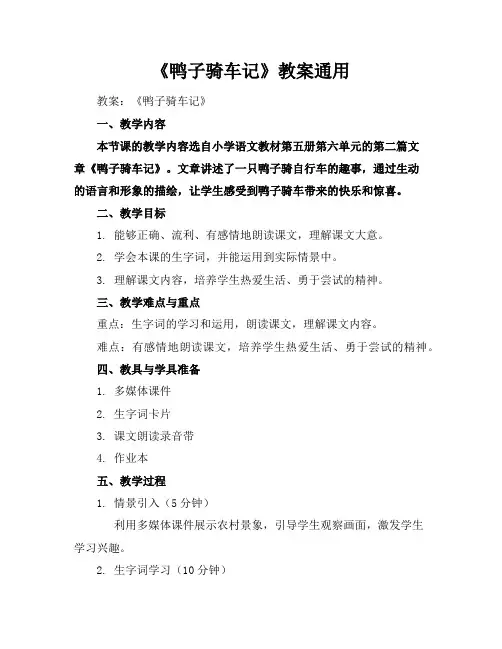 《鸭子骑车记》教案通用