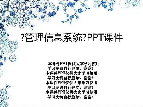 《管理信息系统》PPT课件