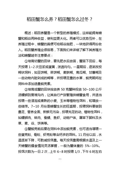 稻田蟹怎么养？稻田蟹怎么过冬？
