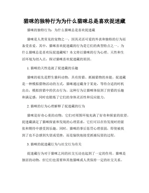 猫咪的独特行为为什么猫咪总是喜欢捉迷藏