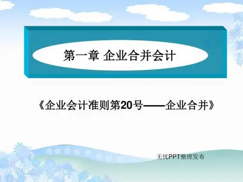 第1章 企业合并