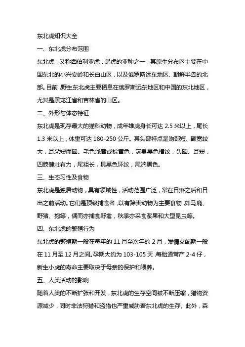 关于东北虎的知识大全