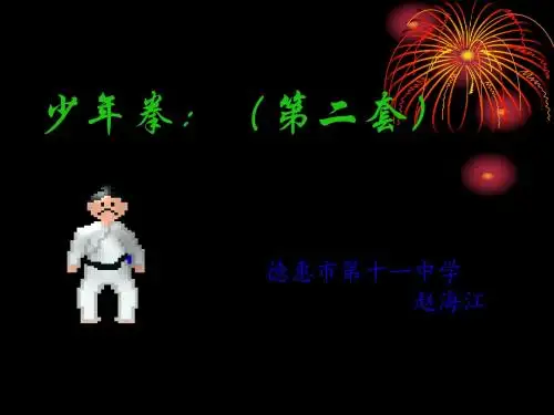 少年拳(第二套)