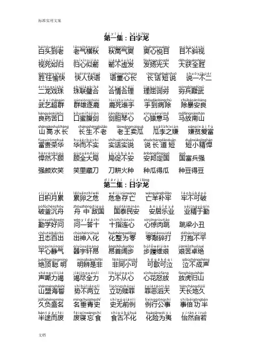 成语接龙拼音版(20集)