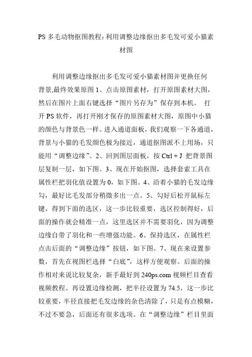 PS多毛动物抠图教程：利用调整边缘抠出多毛发可爱小猫素材图
