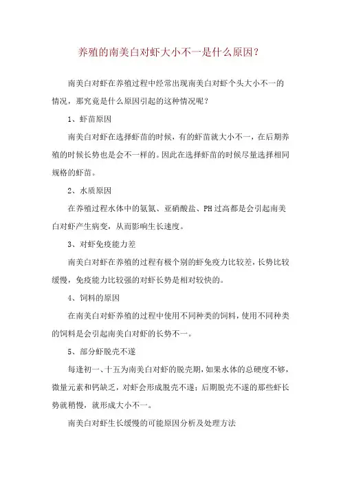 养殖的南美白对虾大小不一是什么原因？