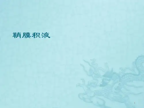 鞘膜积液PPT课件