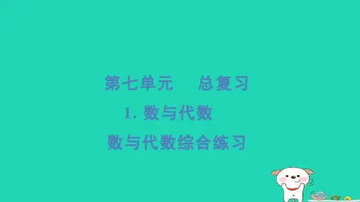 2024六年级数学下册第7单元总复习1数与代数综合练习习题课件苏教版