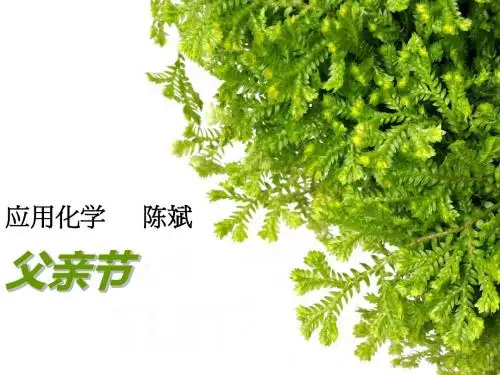 父亲节