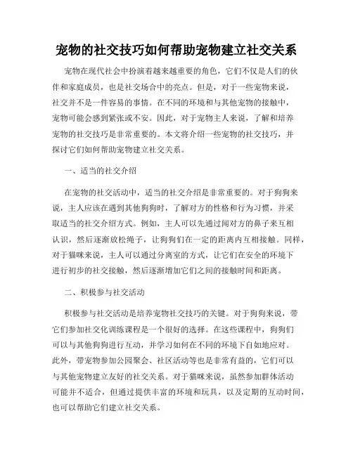 宠物的社交技巧如何帮助宠物建立社交关系