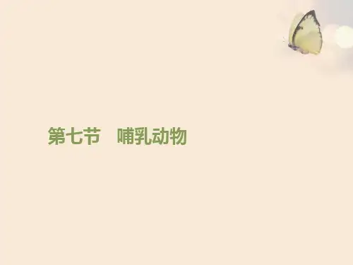 哺乳动物PPT课件7 人教版