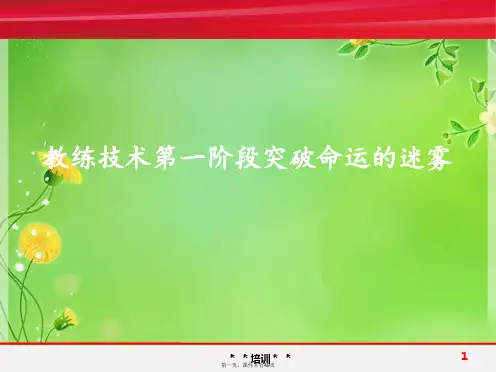 教练技术第一阶段突破命运的迷雾 (2)
