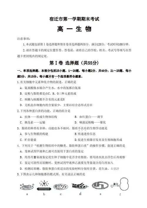 江苏省宿迁市第一学期期末考试高一生物试卷(有答案)